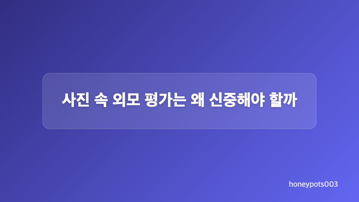 전지현 생로랑 의상 구성과 원문 가격 정리
