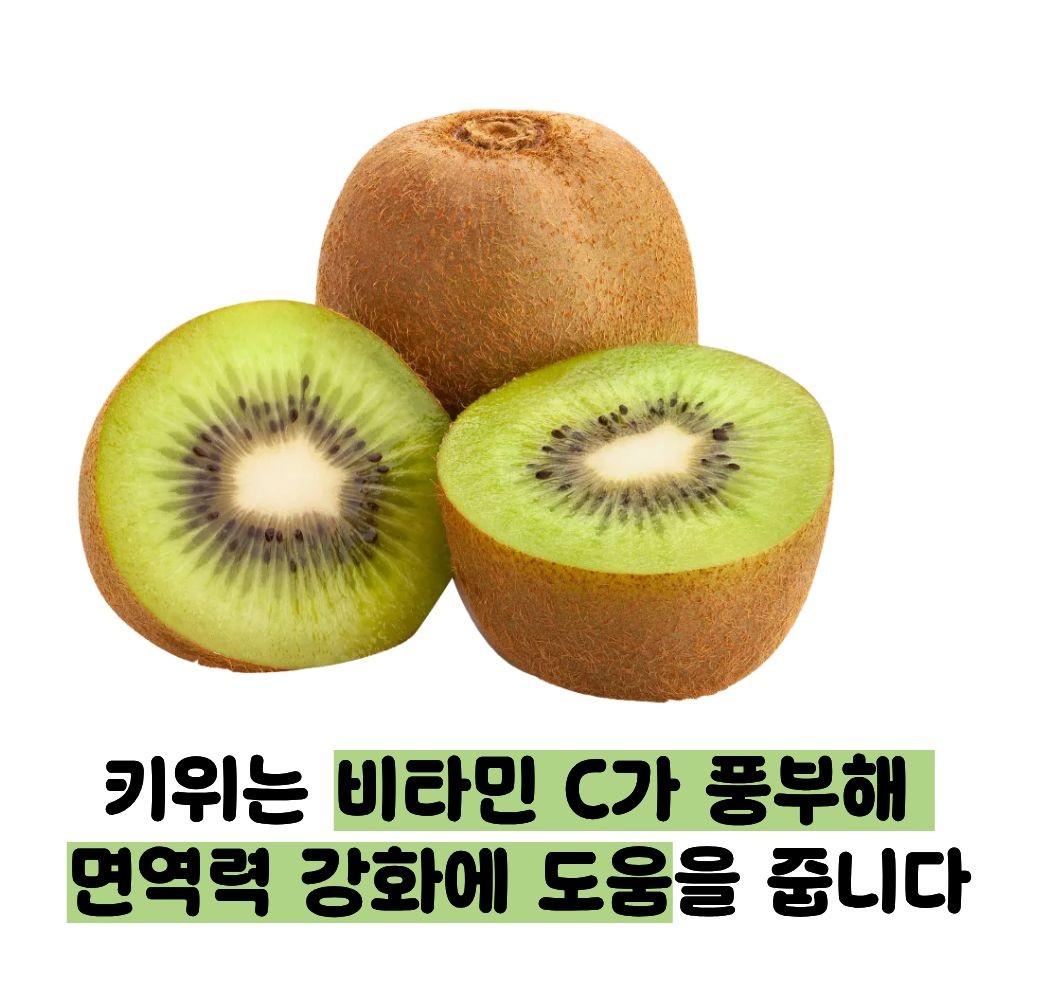 키위 효능