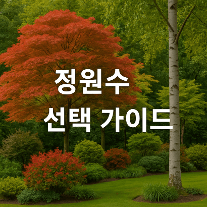 [정원 가꾸기_실전편] 정원수 선택 가이드 : 실패없이 나무 고르는 법