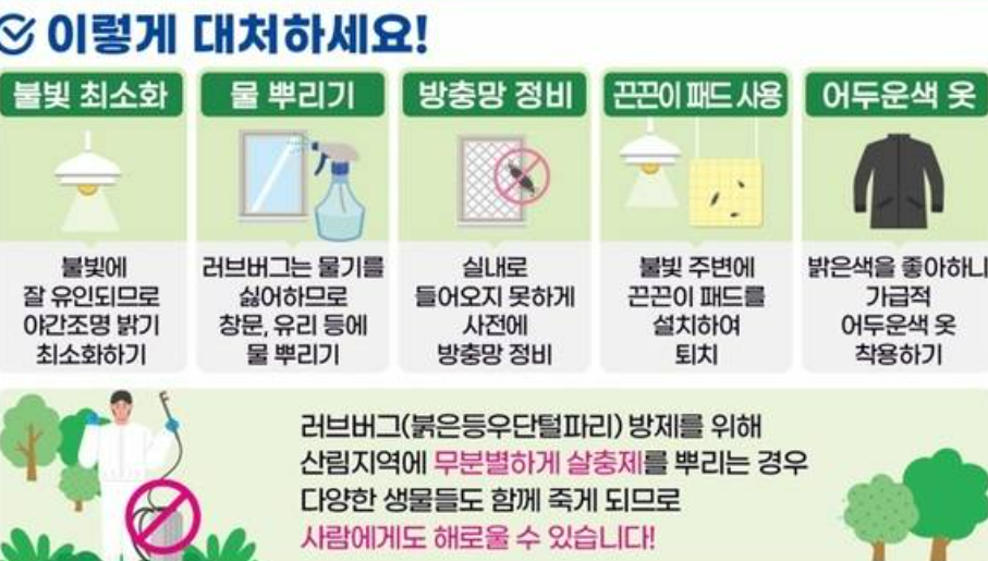 러브버그
