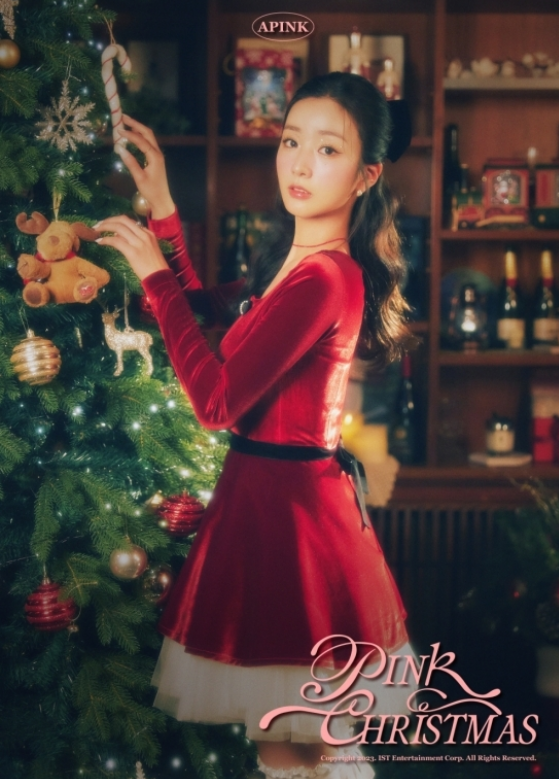 에이핑크 핑크 크리스마스