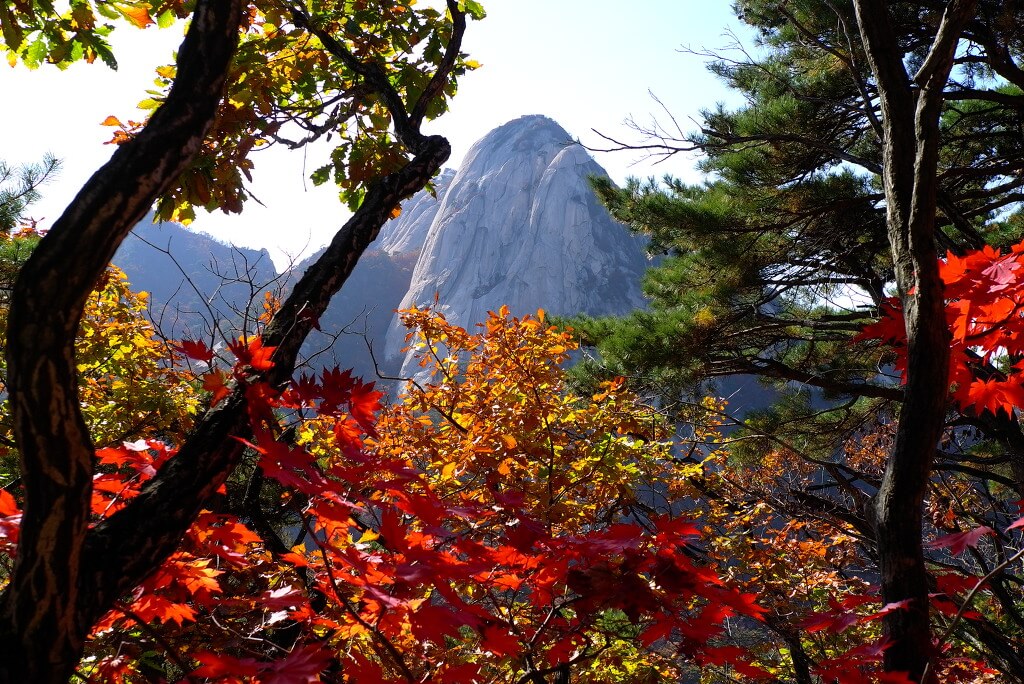 전국 단풍명소, 절정시기