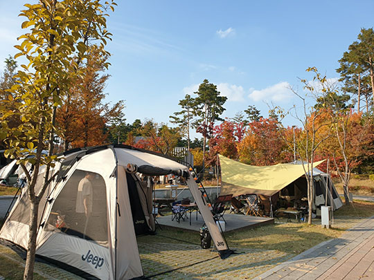 광교호수공원 가족캠핑장 이미지1