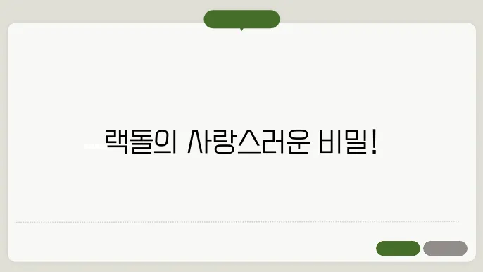 랙돌 고양이의 매혹적인 세계 속으로: 랙돌 성격 특징 관리팁