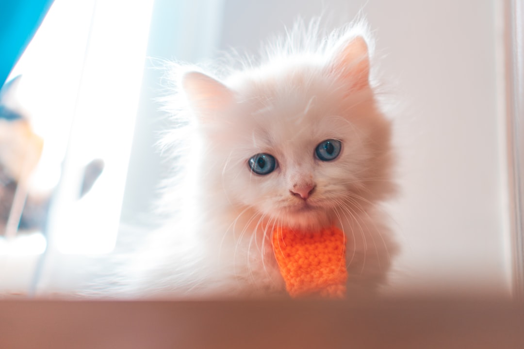Persian