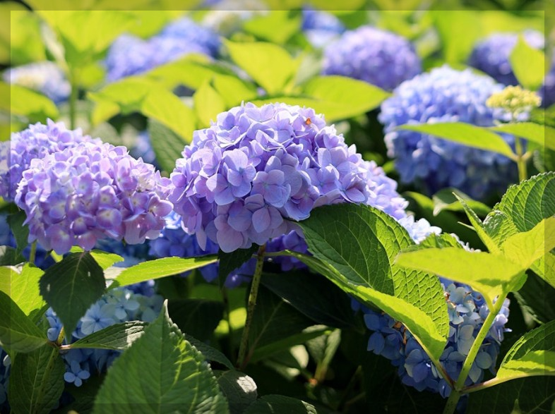 6월 국내 여행지 추천