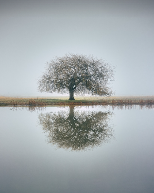 물 위에 피어난 시간의 잔상
