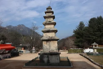 충주 가볼만한곳 베스트10 완벽 관광 가이드_17