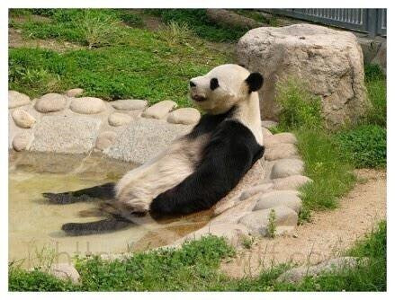 잠시라도 휴식하고 싶다