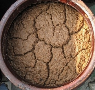 된장 효능 영양성분 담그는법 주의사항