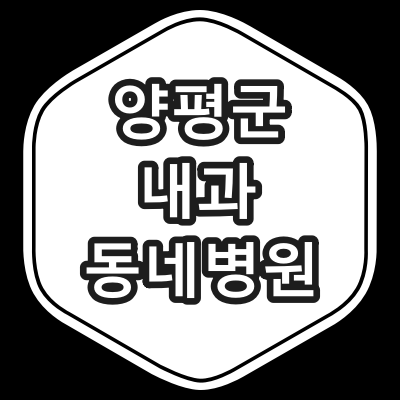 양평군 내과 전문의 진료 동네 병원
