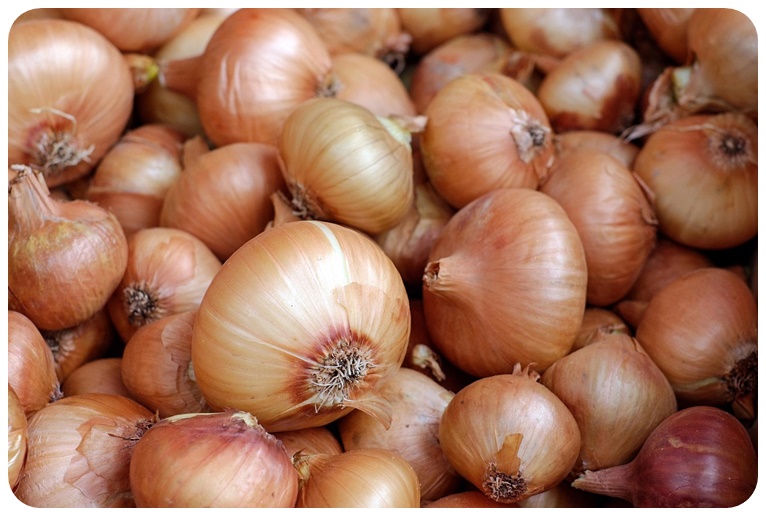 양파와 함께 먹는 것을 피해야 할 음식
