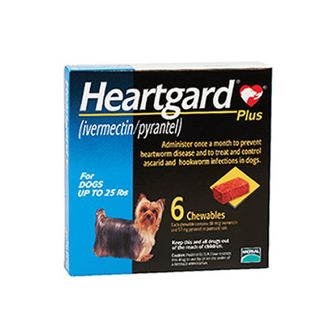 강아지 심장사상충약 하트가드, 애드보킷, 넥스가드 구매하는 곳