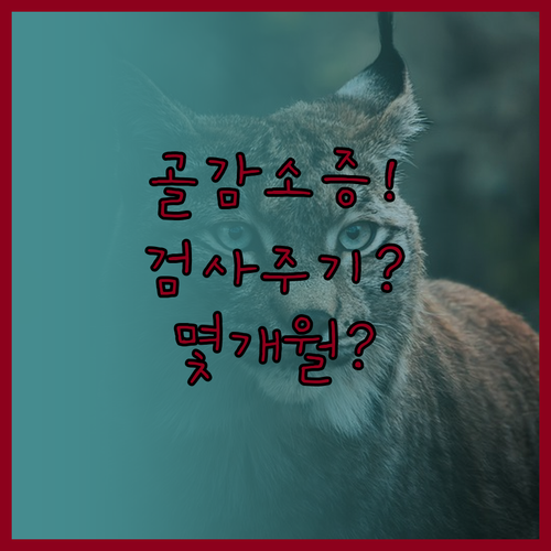 골감소증 진단 받았다면, 검사 주기는..