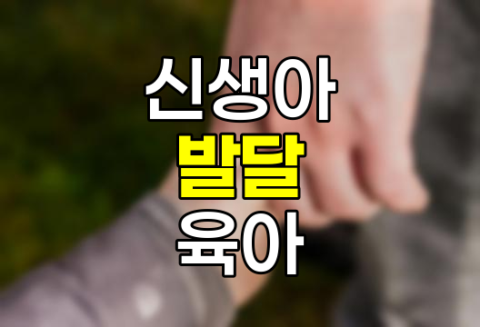 신생아 발달과 육아 정보, 0-3개월 아기 발달 특징과 관리법