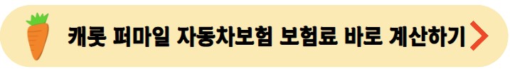 캐롯-퍼마일-자동차보험-바로가기