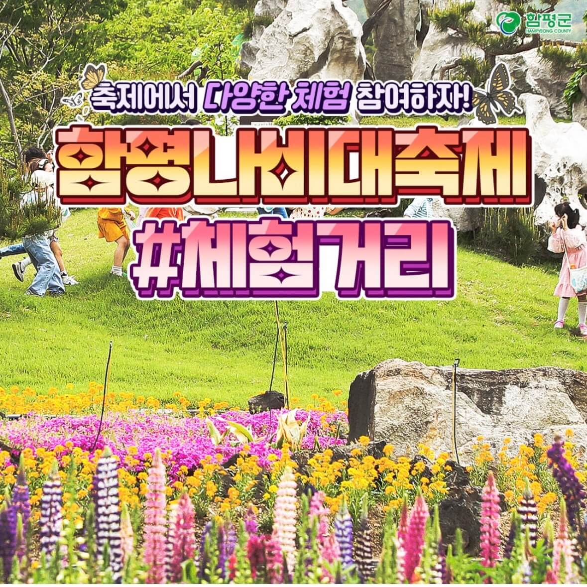 함평 나비축제