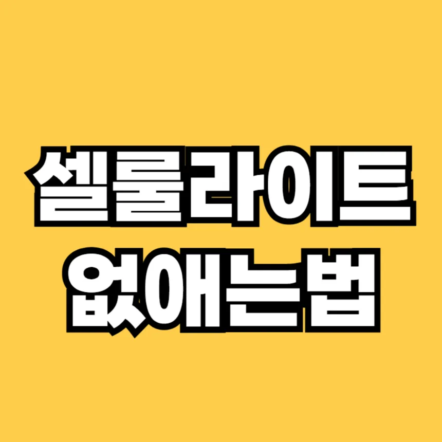 셀룰라이트 없애는 법