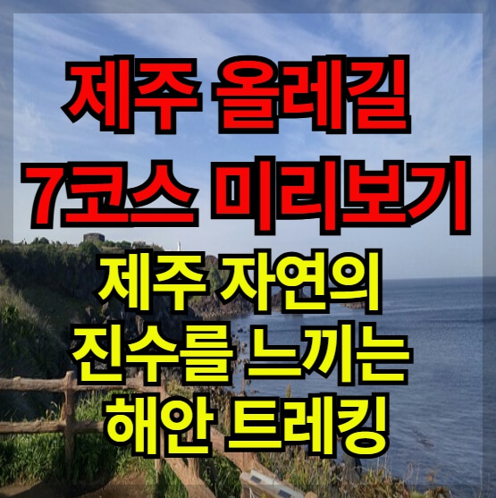 제주 올레길 7코스 미리보기: 제주 자연의 진수를 느끼는 해안 트레킹