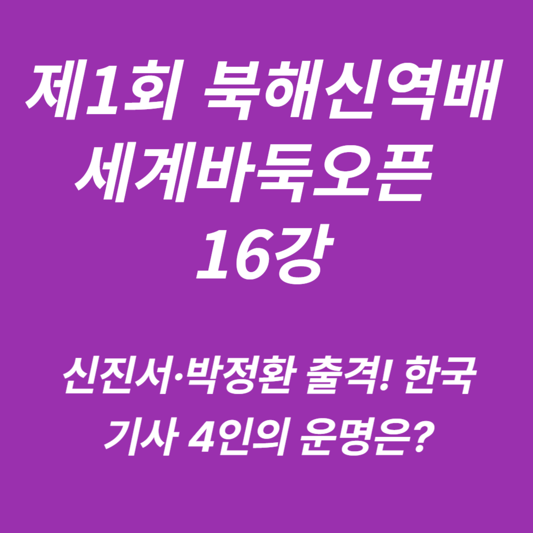 제1회 북해신역배 세계바둑오픈 16강전