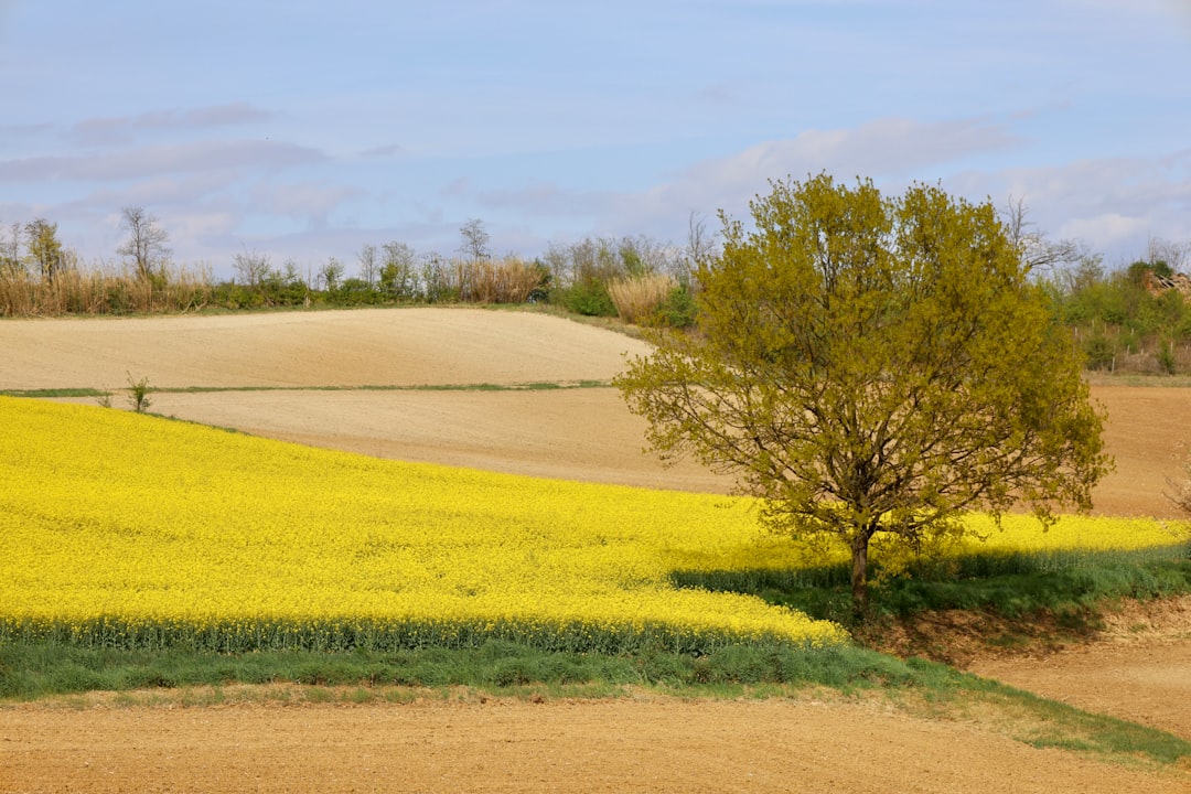 '공시지가 조회'에서 가장 중요한 명사는 'assessed value'입니다.