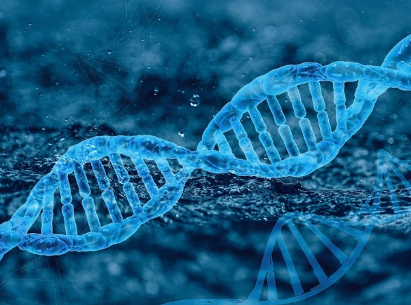 유전자 치료를 통한 망막질환 치료 가능성에 대하여