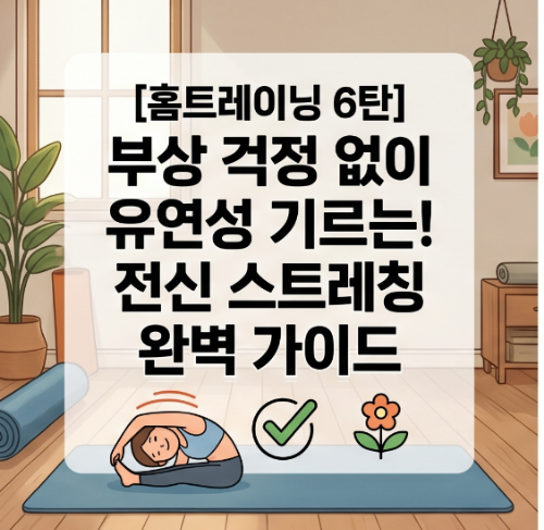 [홈트레이닝 6탄] 부상 걱정 없이 유연성 기르는! 전신 스트레칭 완벽 가이드