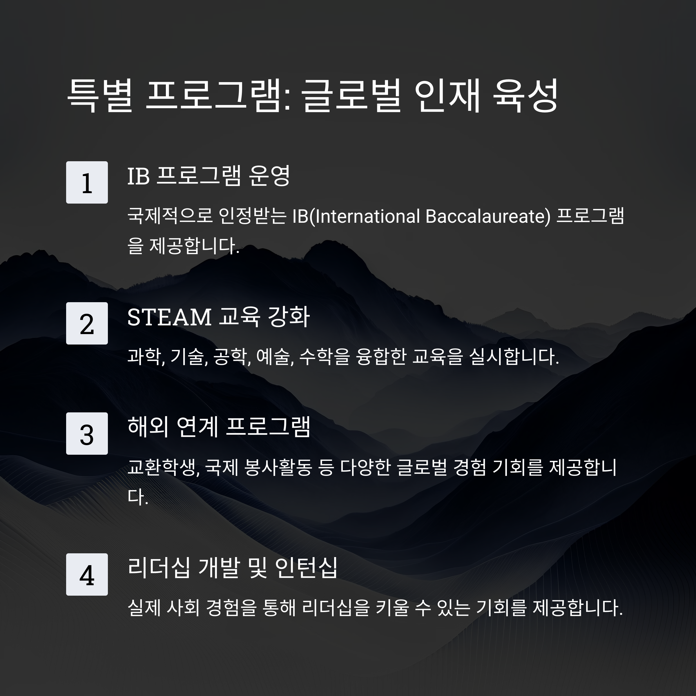 "등대글로벌스쿨 글로벌 인재 육성 프로그램 - IB 프로그램 운영, STEAM 교육, 해외 연계 프로그램, 리더십 개발 및 인턴십"