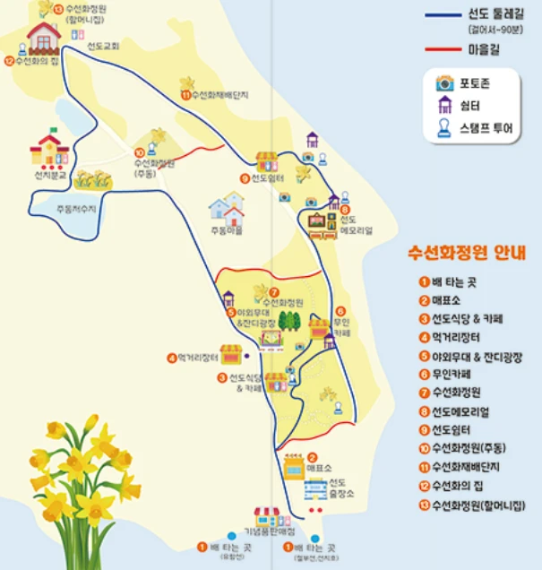 2025 신안 섬 수선화 축제 일정&amp;#44; 입장료&amp;#44; 여객선 시간표 총정리