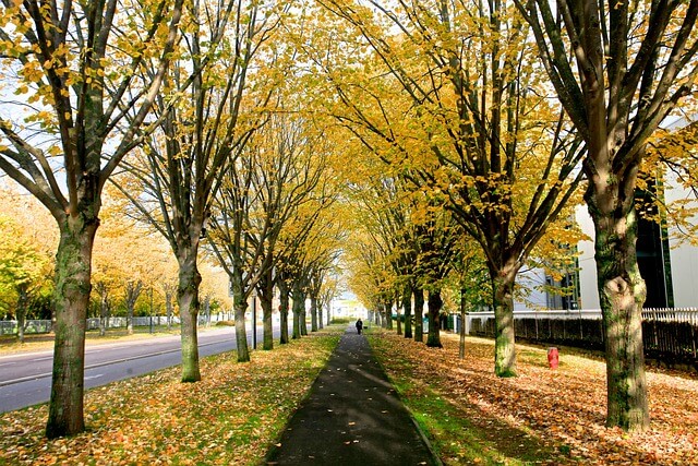 국민연금 반납 추납