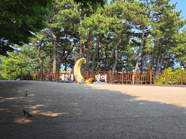 달맞이 고개 관련 사진