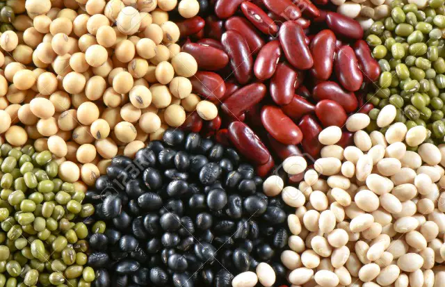 당뇨에-좋은-음식-건강