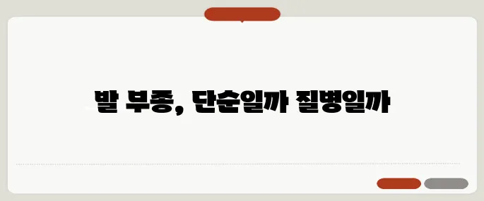 발이 붓는 이유 단순 부종 vs 질병 신호