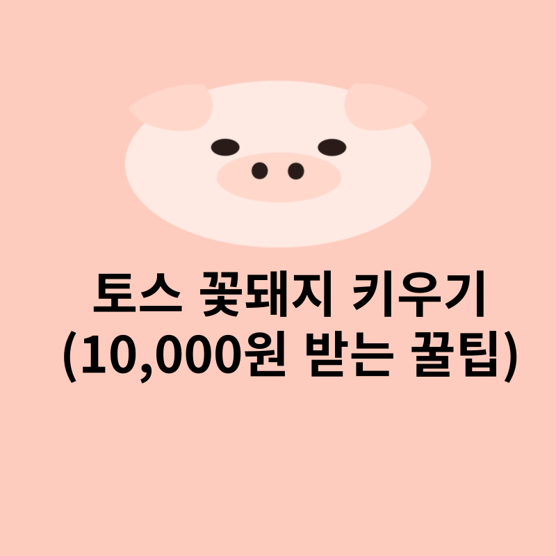 토스 꽃돼지 키우기(10,000원 받는 꿀팁)