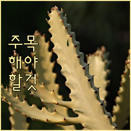 헷갈리는 성석동 쓰레기? 종류별 배출..