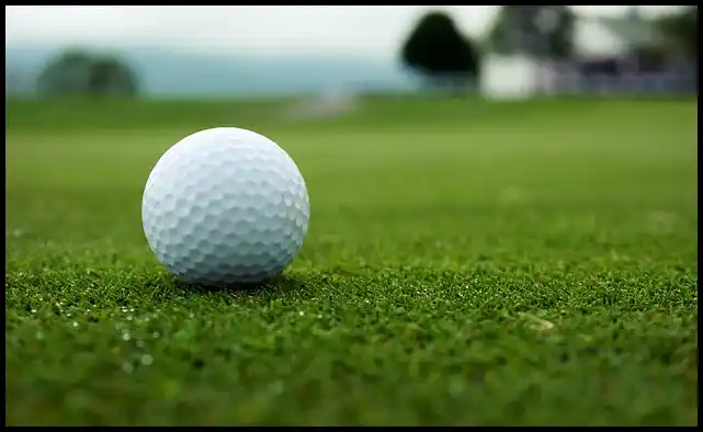 파크골프 용어 정리 (+ 해설 )