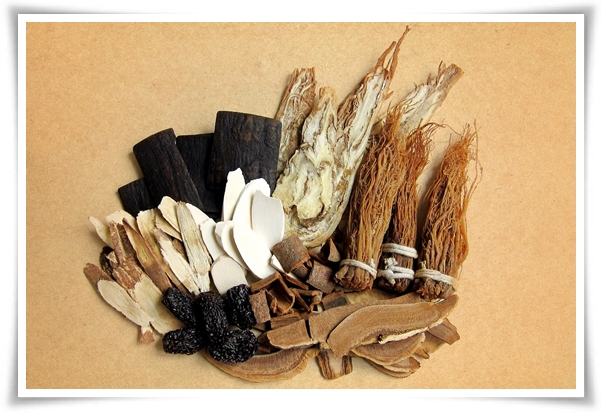 "8 체질" 나는 어떤 체질일까? 체질에 관한 정보를 알려드립니다!