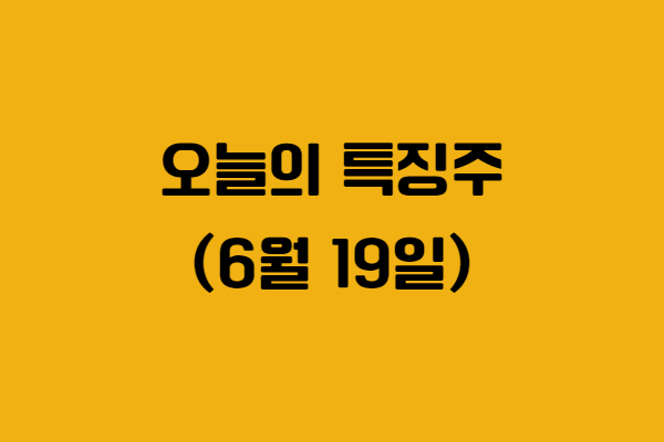 2025년 6월 19일 오늘의 특징주는 카카오, 한미반도체, 풍산, 현대로템, 우진엔텍, 신세계I&amp;C, 코오롱티슈진