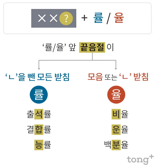 율 률 맞춤법 완벽정리 합격률 합격율_1