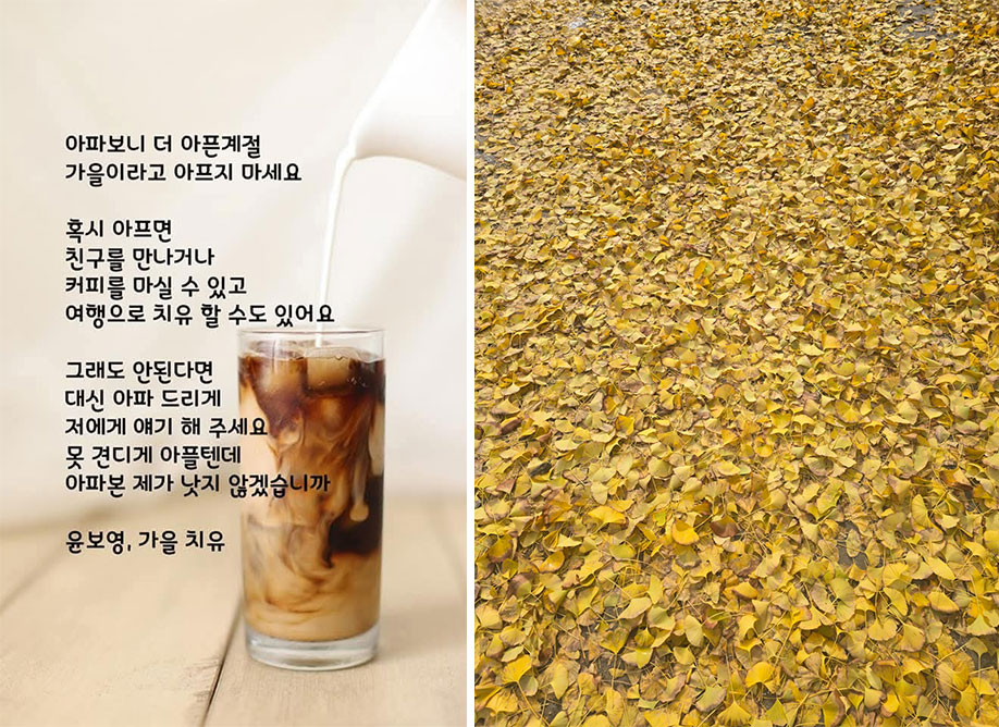 가을 치유 윤보영, 가을 낙엽