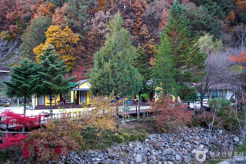 홍천 가볼만한곳 베스트 10