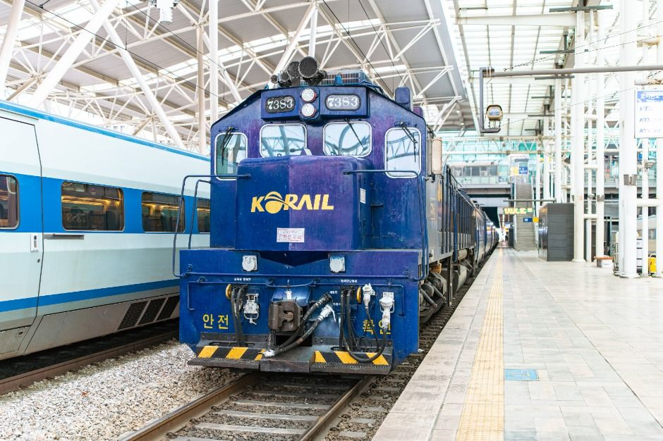 여행 팁과 후기 정리