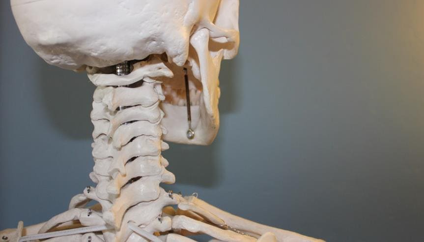 거북목 자가진단방법