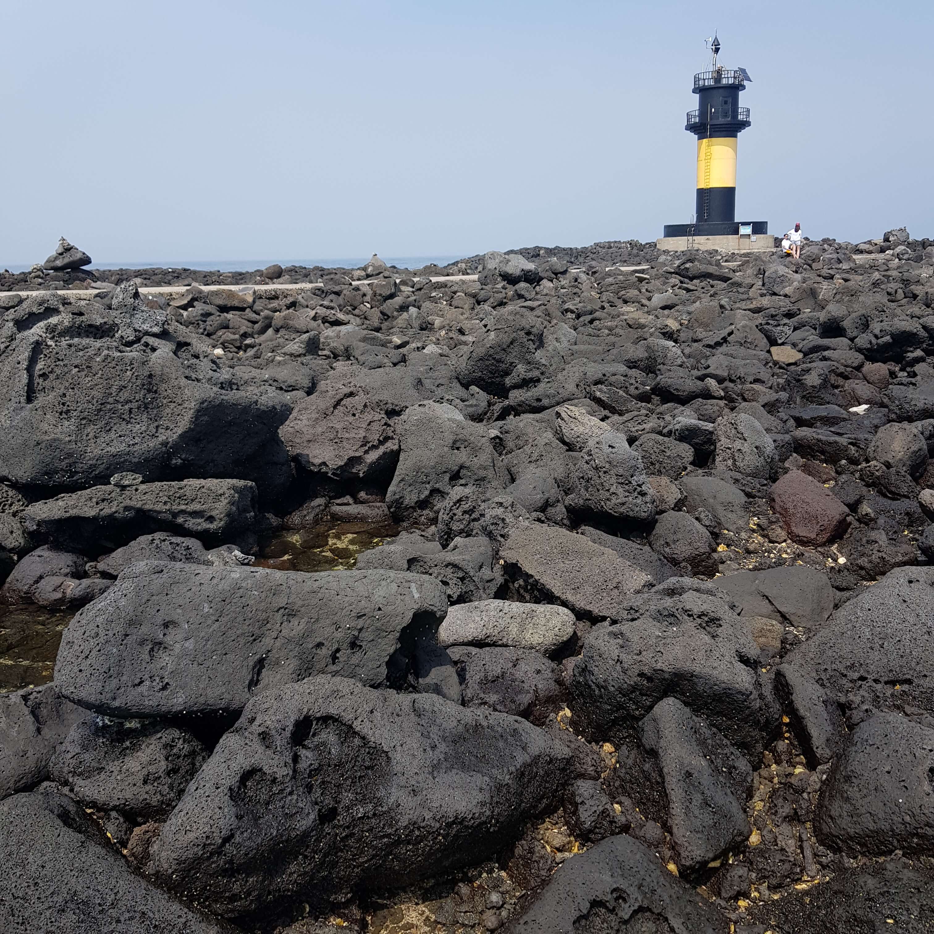 반려견과 우도여행