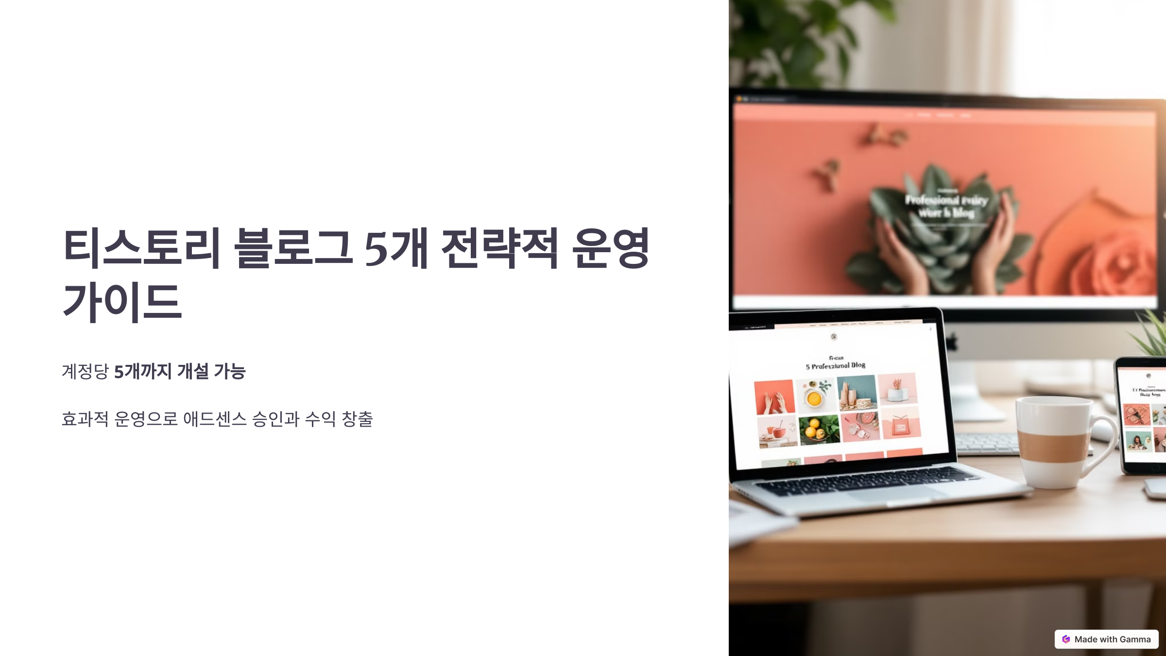 티스토리 5개 블로그 전략적 운영 가이드