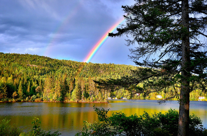 생태계 파괴와 복원의 필요성