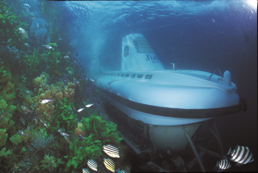 제주 여행 2박3일 추천코스(자유여행)