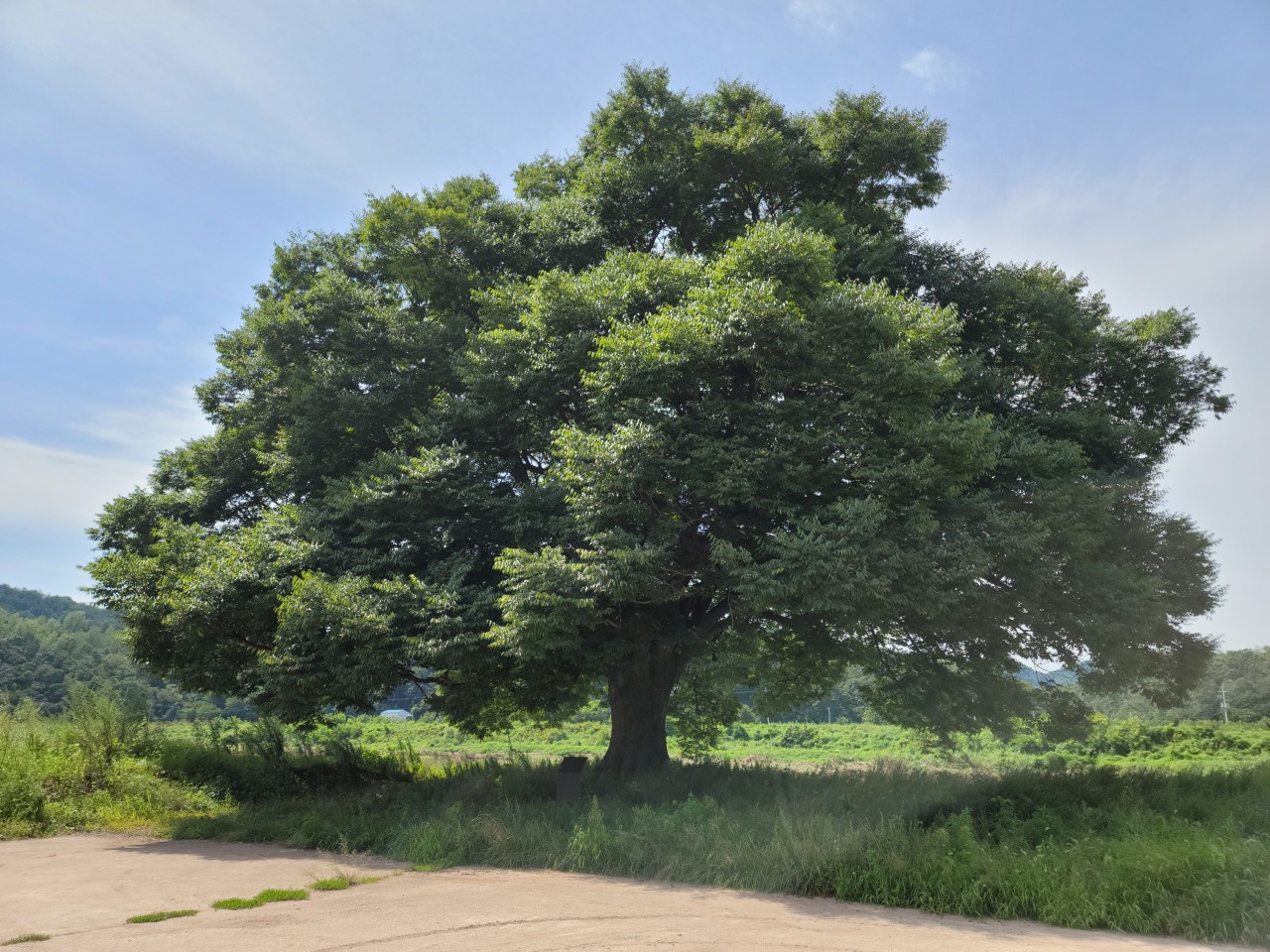 유명산 자연휴양림