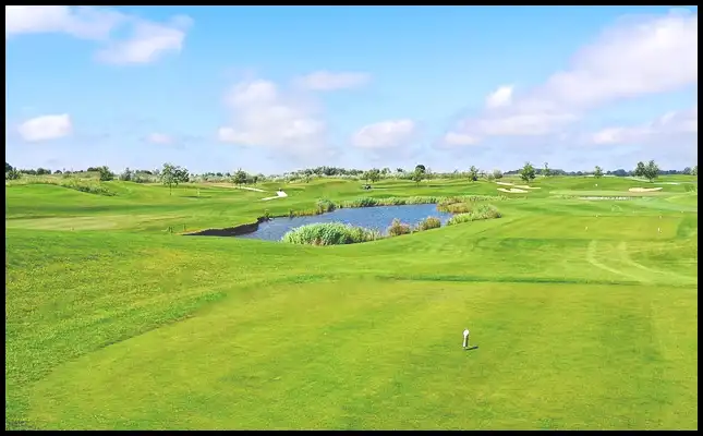 파크골프 경기규칙 (+ ob처치 방법 )