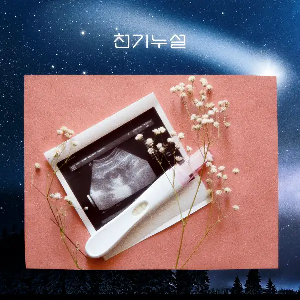 임신하는 꿈 해몽